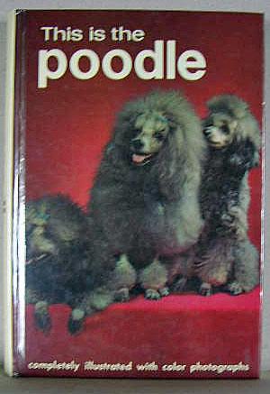 THIS IS THE POODLE