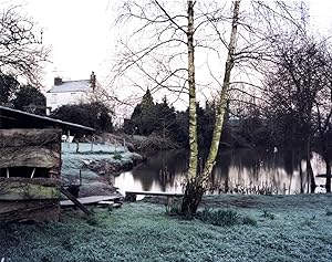 Jem Southam: "February 2001 from Upton Pyne," Limited Edition Type-C Print [SIGNED] (From Blind S...