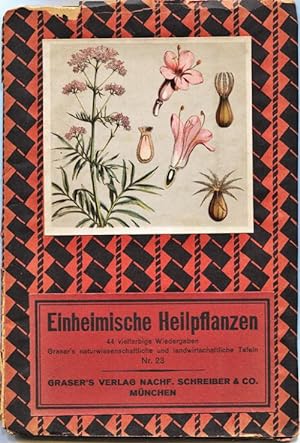 Einheimische Hilpflanzen (Indigenous Medicinal Plants)