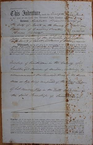 Indenture for the sale of land in the Township of Enniskillen in the County of Lampton from A.A. ...
