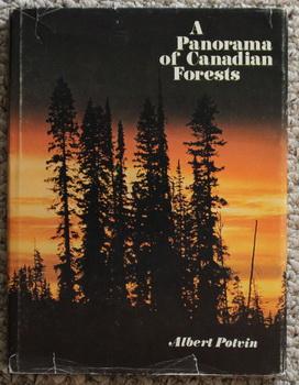 A Panorama of Canadian Forests