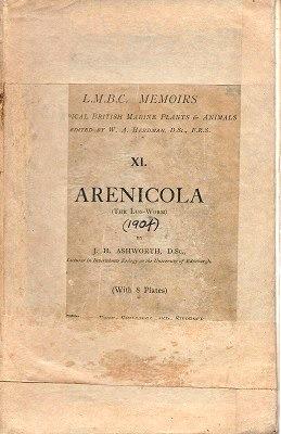Arenicola - the Lug-Worm (L.M.B.C. Memoirs on Typical British marine Plants and Animals, Number X...