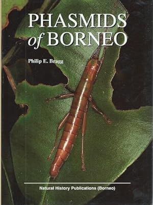Phasmids of Borneo
