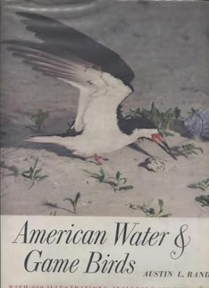American Water & Game Birds (First Edition with Dust Jacket)