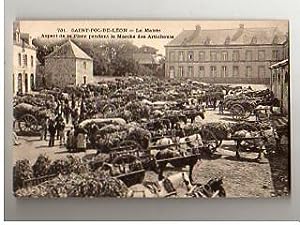 Saint-Pol-de-Léon - La Mairie - Aspect de la Place pendant le Marché aux Artichauts. Carte Postal...