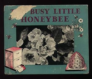 The Busy little Honey Bee