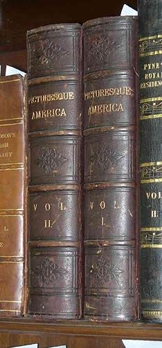 Picturesque America; Or, The Land We Live In. 2 Volumes