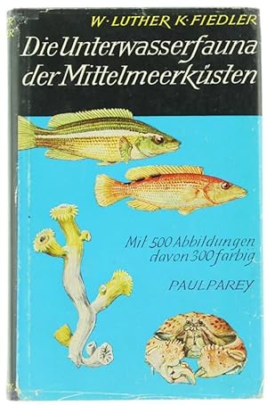 DIE UNTERWASSERFAUNA DER MITTELMEERKÜSTEN. Ein Taschenbuch für Biologen and Naturfreunde.: