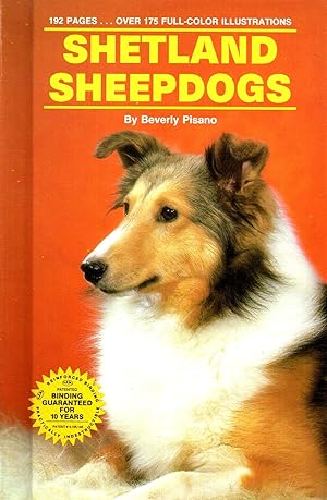 Shetland Sheepdogs :