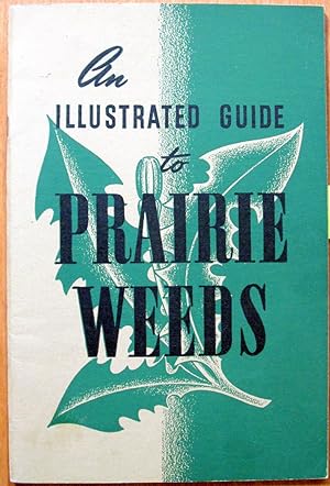 An Illustrated Guide to Prairie Weeds