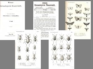 Wiener Entomologische Monatsschrift ( V. Band Jahrgang 1861)