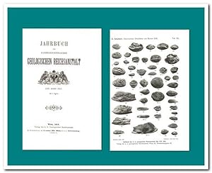 Jahrbuch der Kaiserlich-königlichen Geologischen Reichsanstalt (65. Band 1915)
