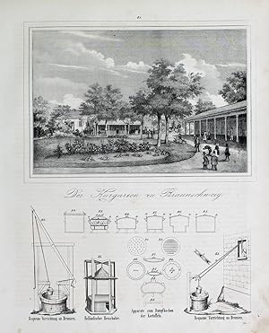 "Der Kurgarten zu Brandenburg. []" originale Lithographie auf Papier (25x20cm) unterhalb der Dar...