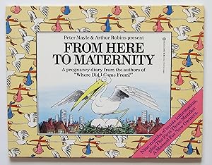From Here to Maternity: A Pregnancy Diary from the Authors of "Where Did I Come From?"