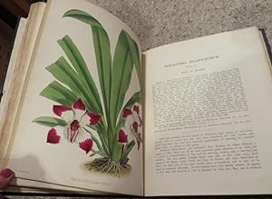 The Orchid Album, Comprising Coloured Figures and Descriptions of New, Rare and Beautiful Orchida...