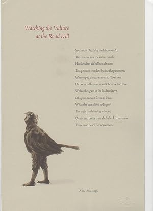 Watching the Vulture at the Road Kill