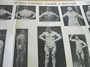 Antone Matysek's Muscle Control Course