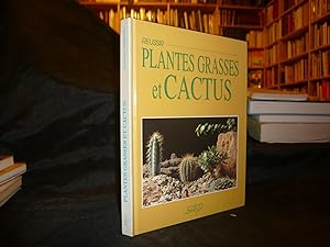 Réussir Plantes Grasses Et CACTUS