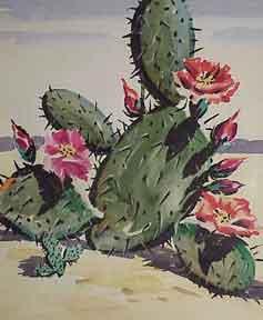 Cactus in Bloom.
