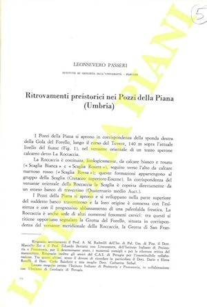 Ritrovamenti preistorici nei Pozzi della Piana (Umbria) .