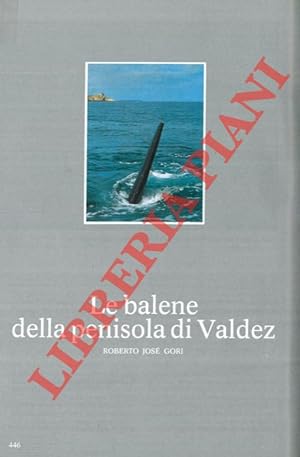 Le balene della penisola di Valdez.