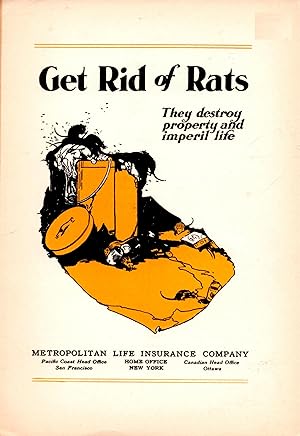 Get Rid of Rats They Destroy Property and Imperil Life