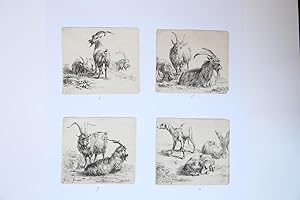 Antique prints, etching | The set of various animals, the "Man's book" (complete set), published ...
