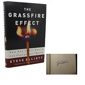 THE GRASSFIRE EFFECT : How One Small Spark Can Change Your World
