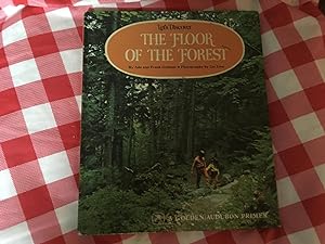 LET'S DISCOVER THE FLOOR OF THE FOREST