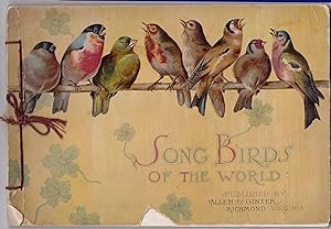 Song Birds of the World