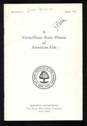 A Verticillium Root Disease of American Elm (Bulletin 6)