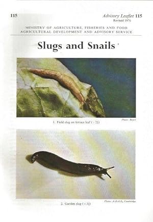 Slugs and Snails. Advisory Leaflet 115.