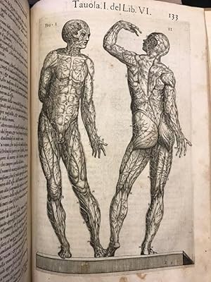 Anatomia : Del corpo humano composta per M. Giuan Valuerde di Hamusco, & da luy con moto figure d...
