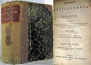 LOUDON'S ENCYCLOPAEDIA OF PLANTS