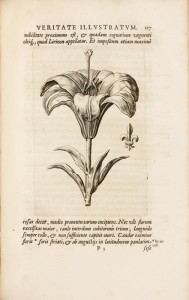 Lilium Francicum, veritate historica, botanica, et heraldic illustratum.