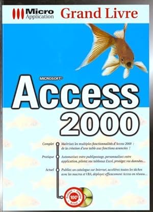 grand livre access 2000