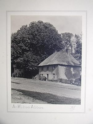 At Milton Abbas. (Thatched Cottage, Dorset).