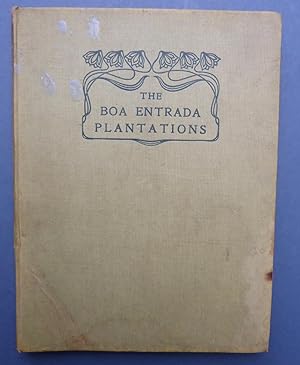 The Boa Entrada Plantations - S Thomé, Portuguese West Africa - 'La Perle Des Colonies Portugaise...