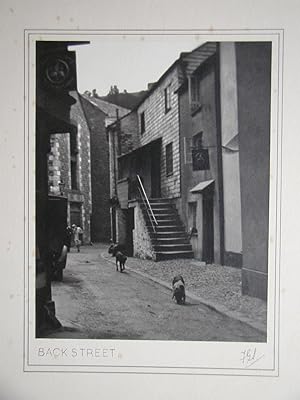 Back Street. (English Village Street View with Dogs).