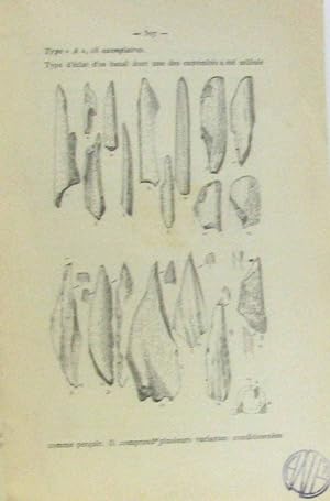 Outillage néolithique banal en os (extrait du congrès préhistorique de France XIIe session 1936)