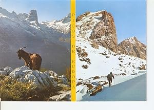 Postal 049082 : Picos de Europa. Macizo Centrar i Naranjo de Bulnes