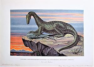 Antique Chromolighograph. Prehistoric Dinosaur Protorosaurus