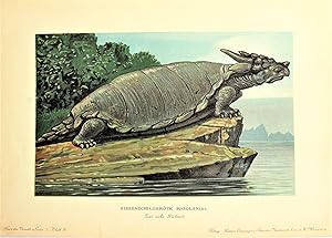 Antique Chromolighograph. Prehistoric Dinosaur Turtle Meiolania