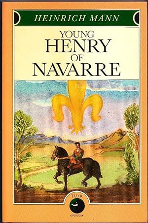 Young Henry of Navarre