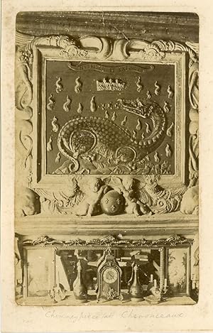 France, Chimneypiece at Chenonceau