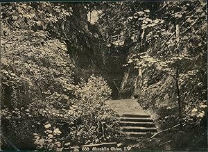 I.W., Great Britain, Shanklin Chine (Isle of Wight)