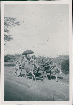 Burma, Rangoon, Natives travelling in an ox-drawn cart