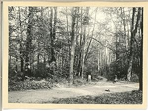 France, Paris, Dans le Parc de St. Cloud