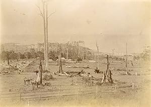 View of a Farm scene after recovering fire event
