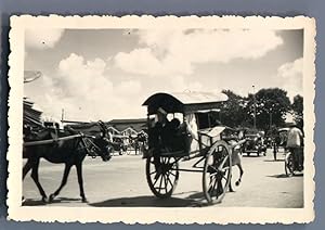 Viêt Nam, Chariot de cheval